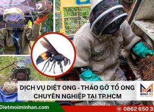 Dịch Vụ Diệt Mối Tại Tây Ninh – Diệt Mối Minh An admin ajax.php?action=kernel&p=image&src=%7B%22file%22%3A%22wp content%2Fuploads%2F2025%2F10%2Fdich vu diet to ong tai tphcm