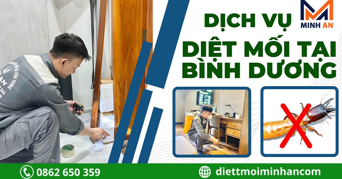 Diệt mối tại Bình Dương