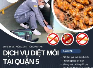 diet moi tai quan 5 0784875a