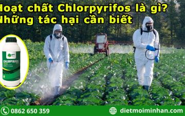 Chlorpyrifos la gi 08c008df