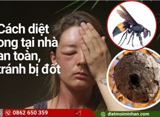 cach diet ong 1a193e73