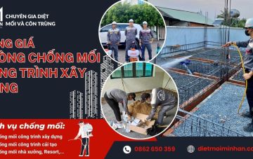 bang gia phong chong moi 1f95dcf1