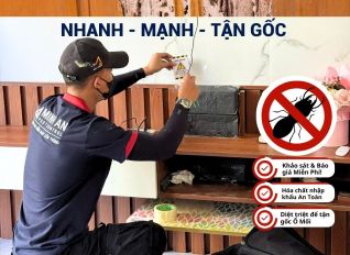 dich vu diet moi binh thanh minh an 26fa6f6d