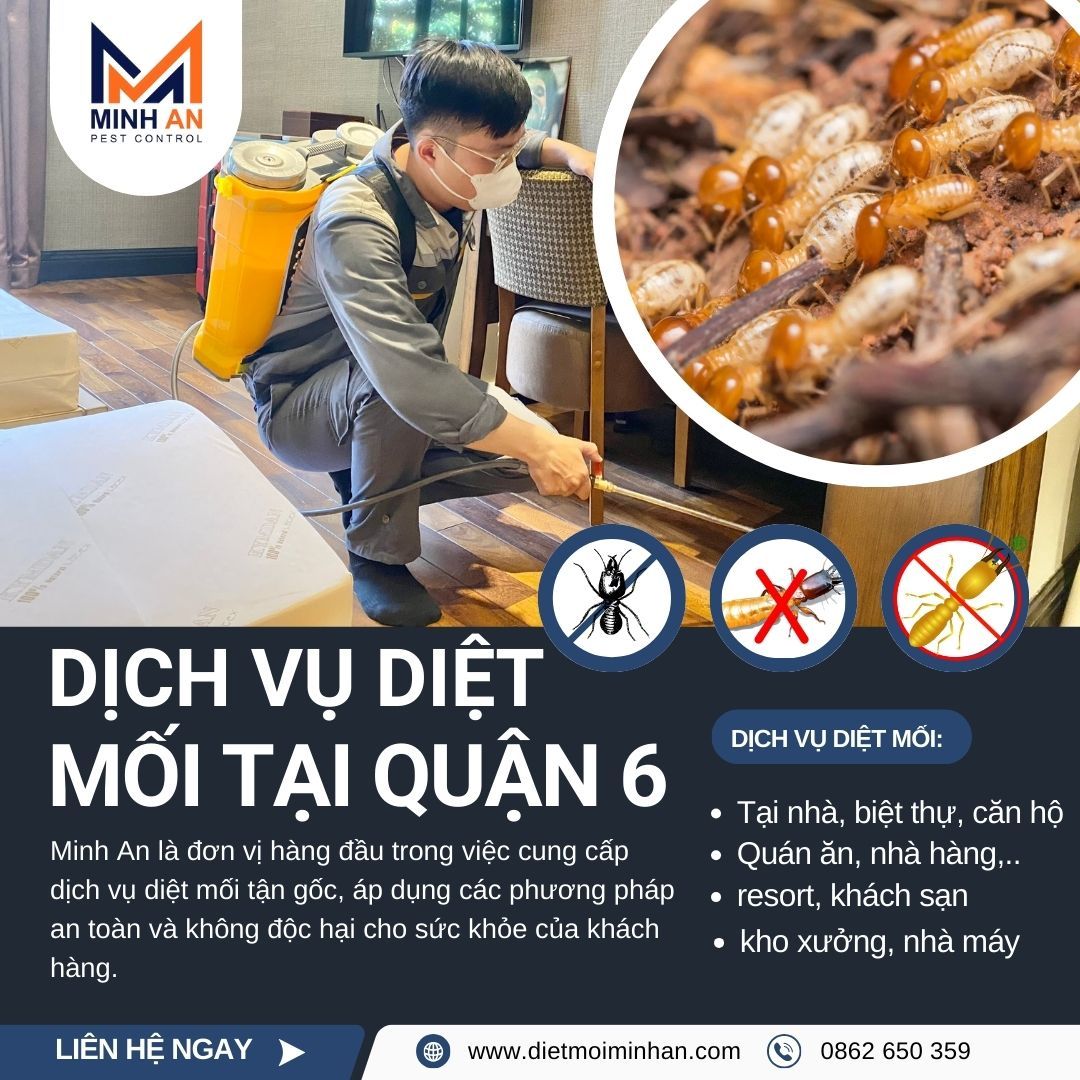 Diệt mối tại quận 6