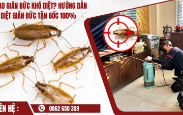 cach diet gian duc tan goc 2859f359
