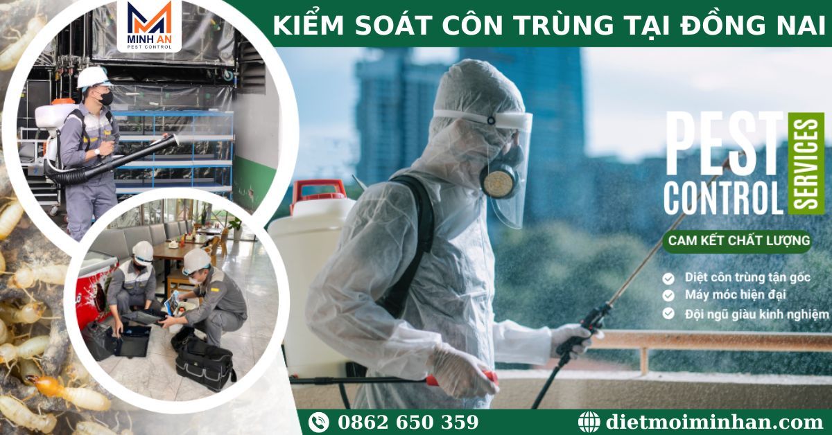 Diệt côn trùng Đồng Nai