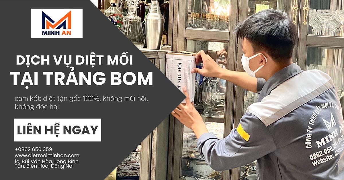 Diệt mối tại trảng bom, đồng nai