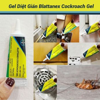 huong dan su dung gel diet gian Blattanex 2b8c3746