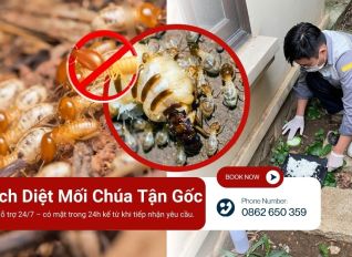 cach diet moi chua 2dcf0920