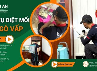 diet moi go vap 2dd37bbd