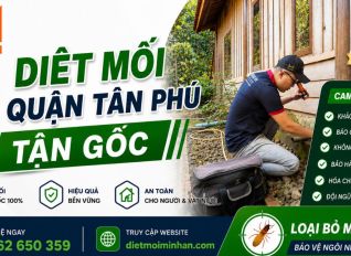 diet moi tai quan tan phu 3d024770