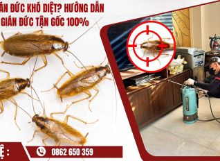 cach diet gian duc tan goc 486e639b