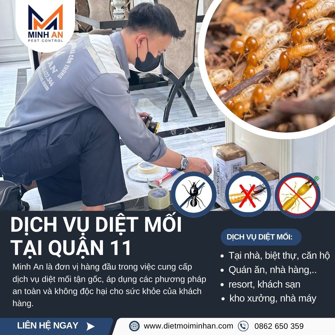 Diệt mối quận 11