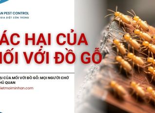 tac hai cua moi voi do go 4a501cc8