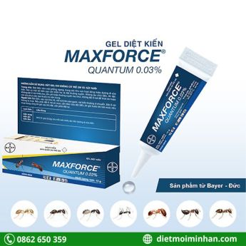 gel diet kien Maxforce Quantum 4c730b26