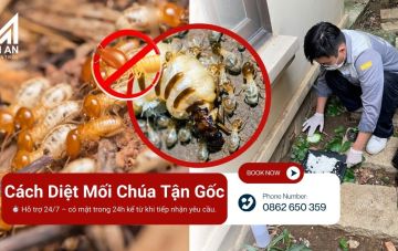 cach diet moi chua 4df899e2