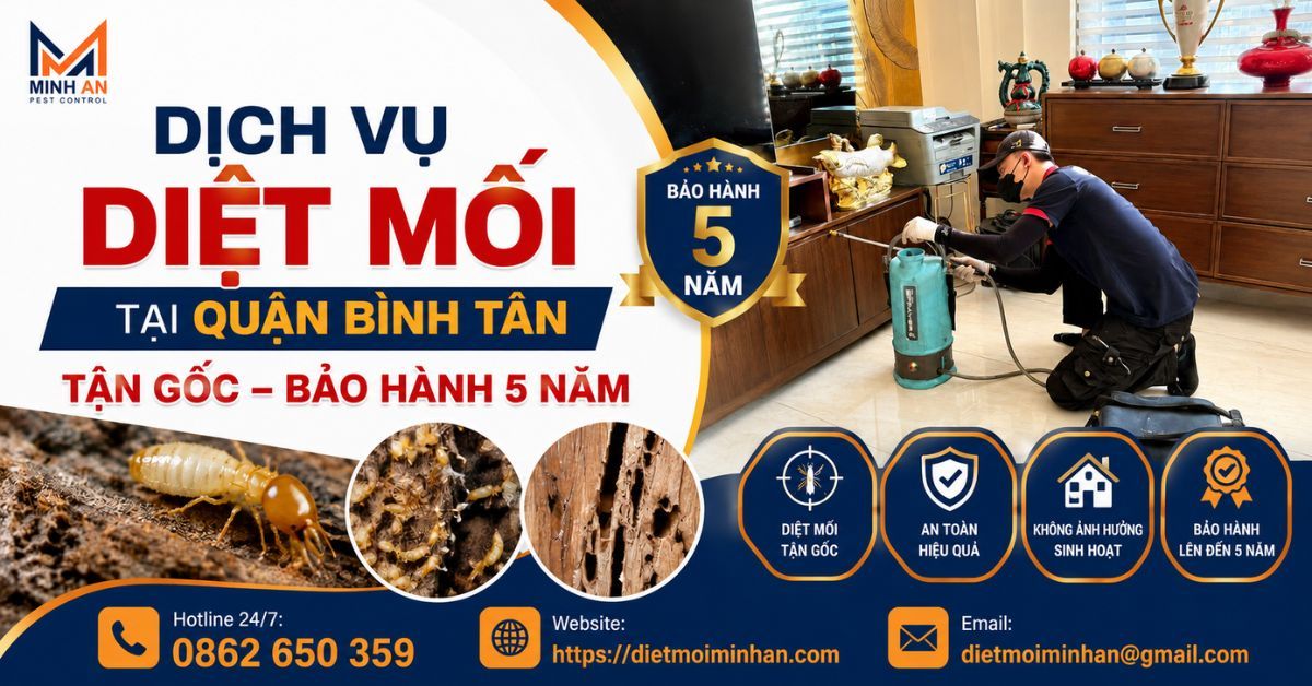 Diệt Mối Tại Quận Bình Tân