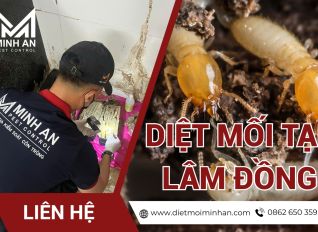 diet moi tai lam dong 5a77d295