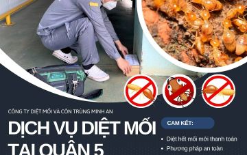 diet moi tai quan 5 67b31798