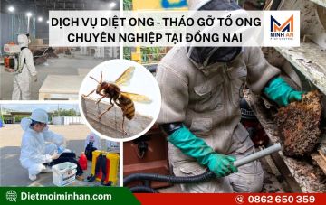 dich vu diet ong tai nha 76a87cc7