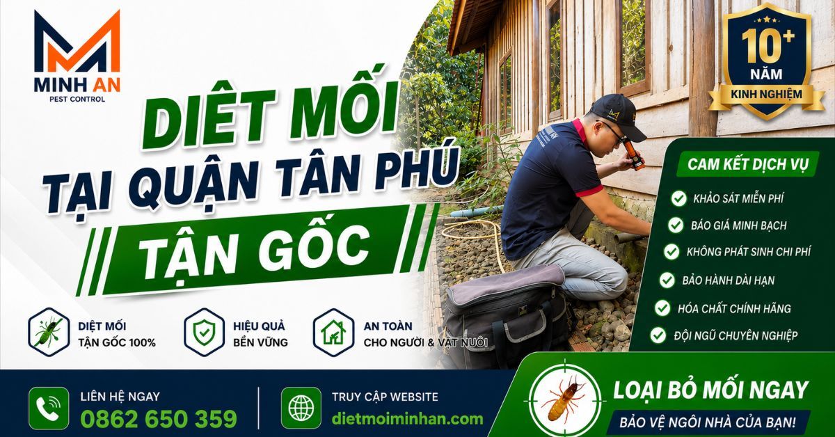 Diệt mối tại quận Tân Phú