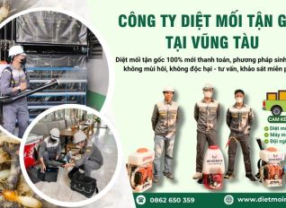 diet moi tai vung tau 796150d9