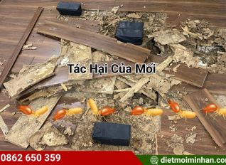 tac hai cua moi 7b188d0c