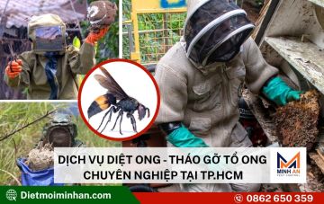 dich vu diet to ong tai tphcm 910bcf9a