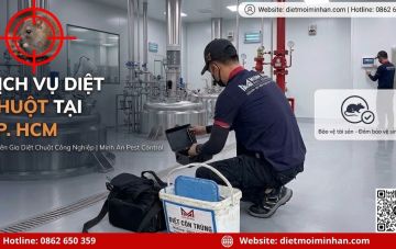dich vu diet chuot tai tp hcm 998a3182