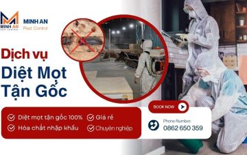 dich vu diet mot a246c97a