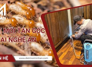 diet moi tai nghe an a85afde9