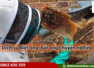 dich vu bat diet ong ab13077c