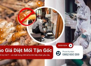 bao gia diet moi 1 acf1d079