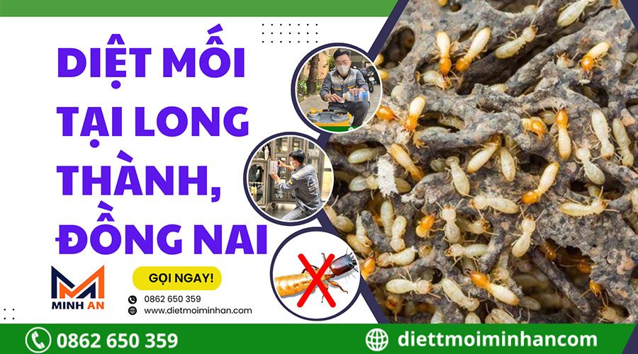 Diệt mối Long Thành, Đồng Nai