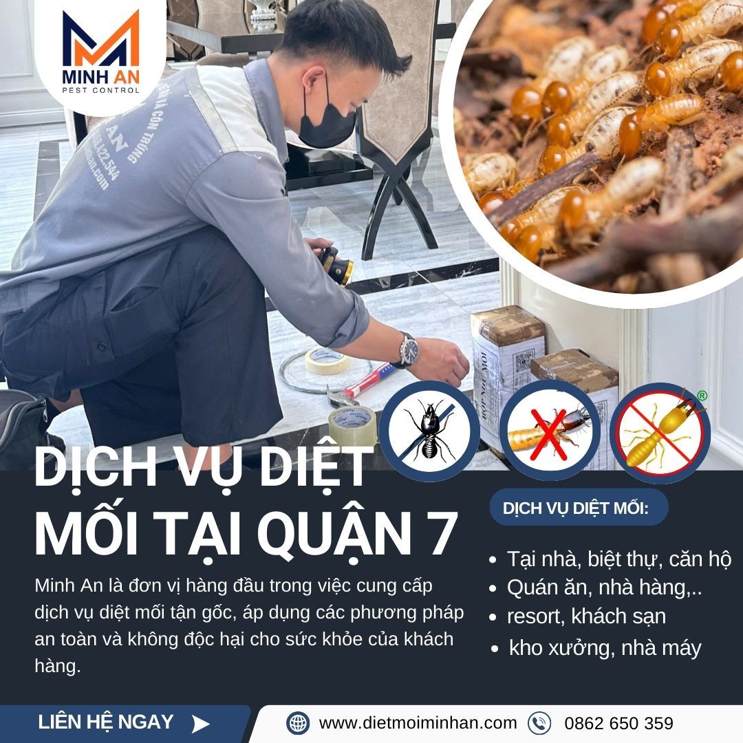 Diệt mối tại quận 7