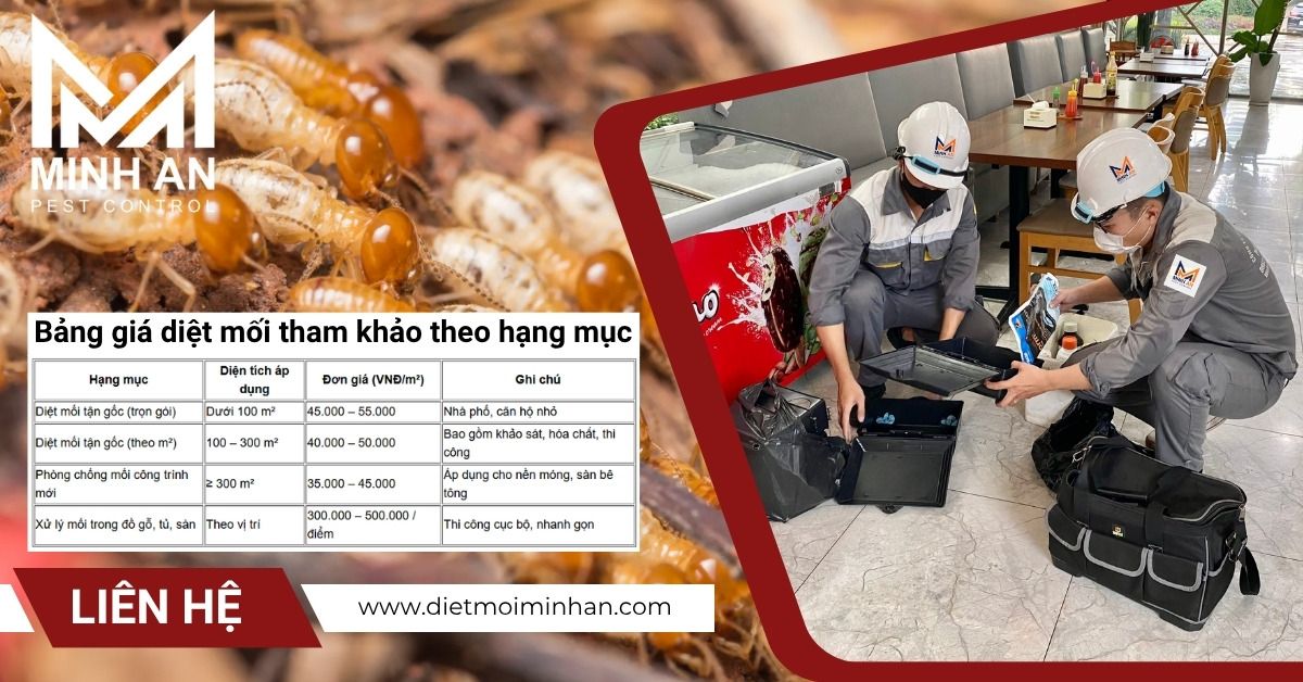 Bảng giá diệt mối