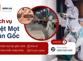 dich vu diet mot c27159b8