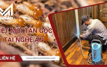 diet moi tai nghe an c86d6d2b