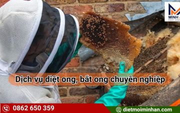 dich vu bat diet ong cb2497be