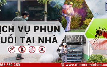 dich vu phun thuoc diet muoi tai nha cd8973f4