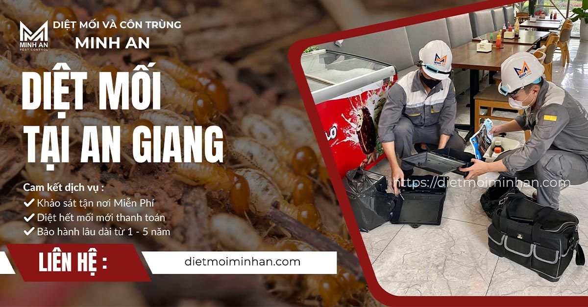 Diệt mối tại an giang