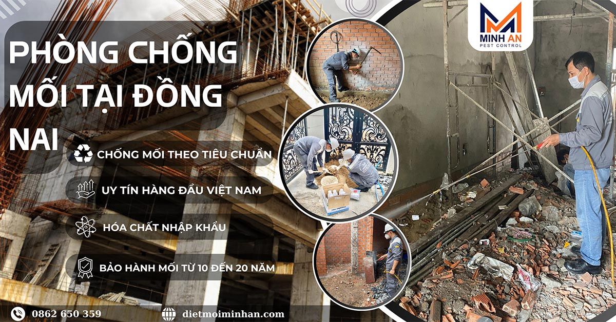 Phòng chống mối tại Đồng Nai