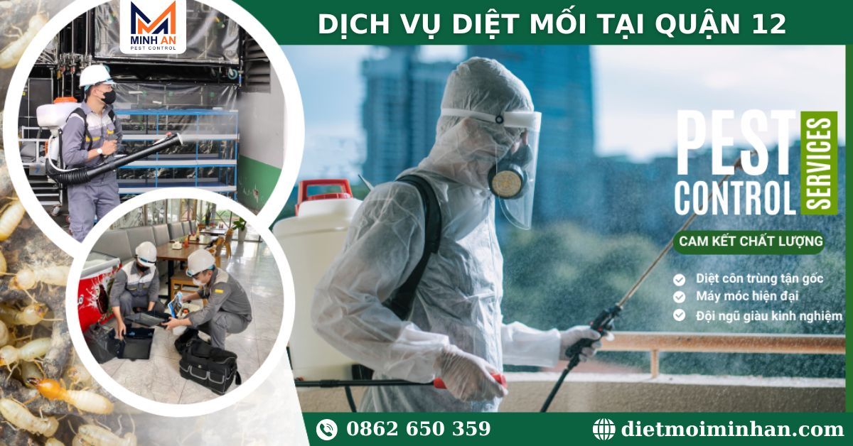 Diệt mối tại quận 12