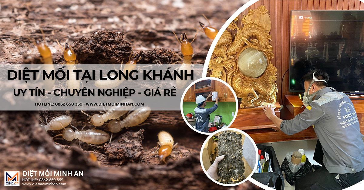 Diệt Mối Long Khánh