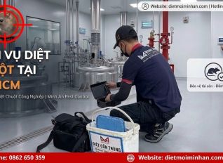 dich vu diet chuot tai tp hcm f9bda140