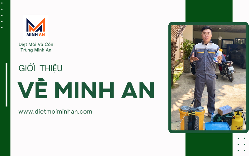 Giới thiệu về Minh An
