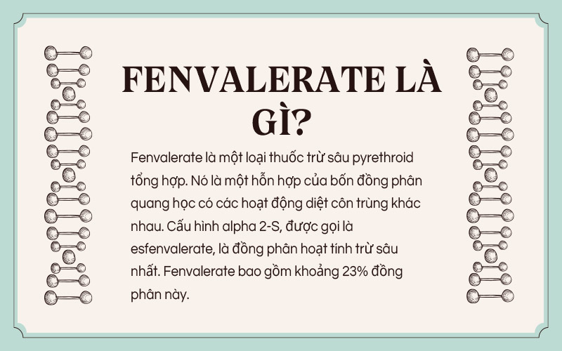 Fenvalerate là gì?