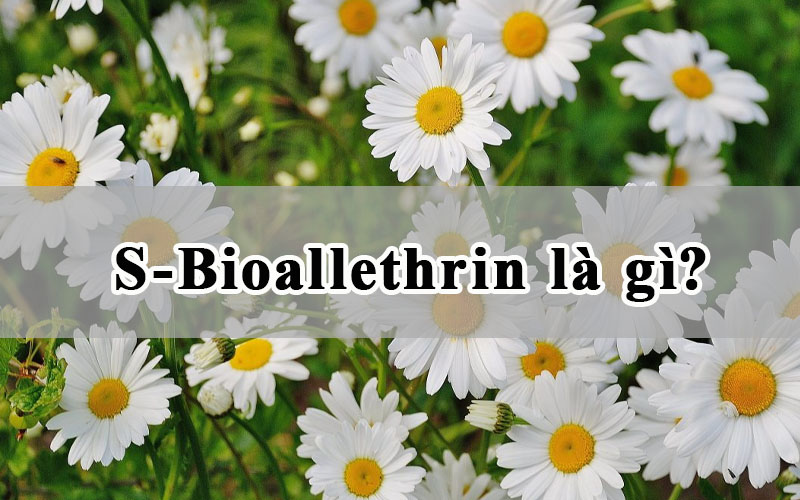 S-Bioallethrin