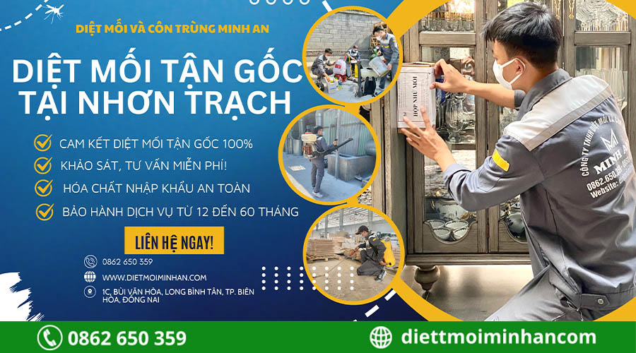 diệt mối tại nhơn trạch, đồng nai