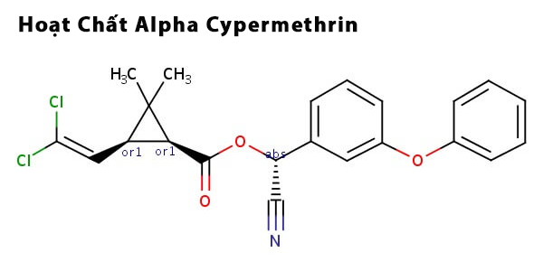 Hoạt Chất Alpha Cypermethrin